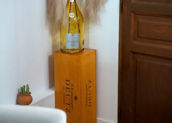 Le Charme Des Berceaux Appartement Épernay